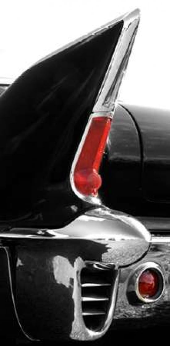 Black Tailfin Canvas Art - Matt McCarthy (10 x 20)