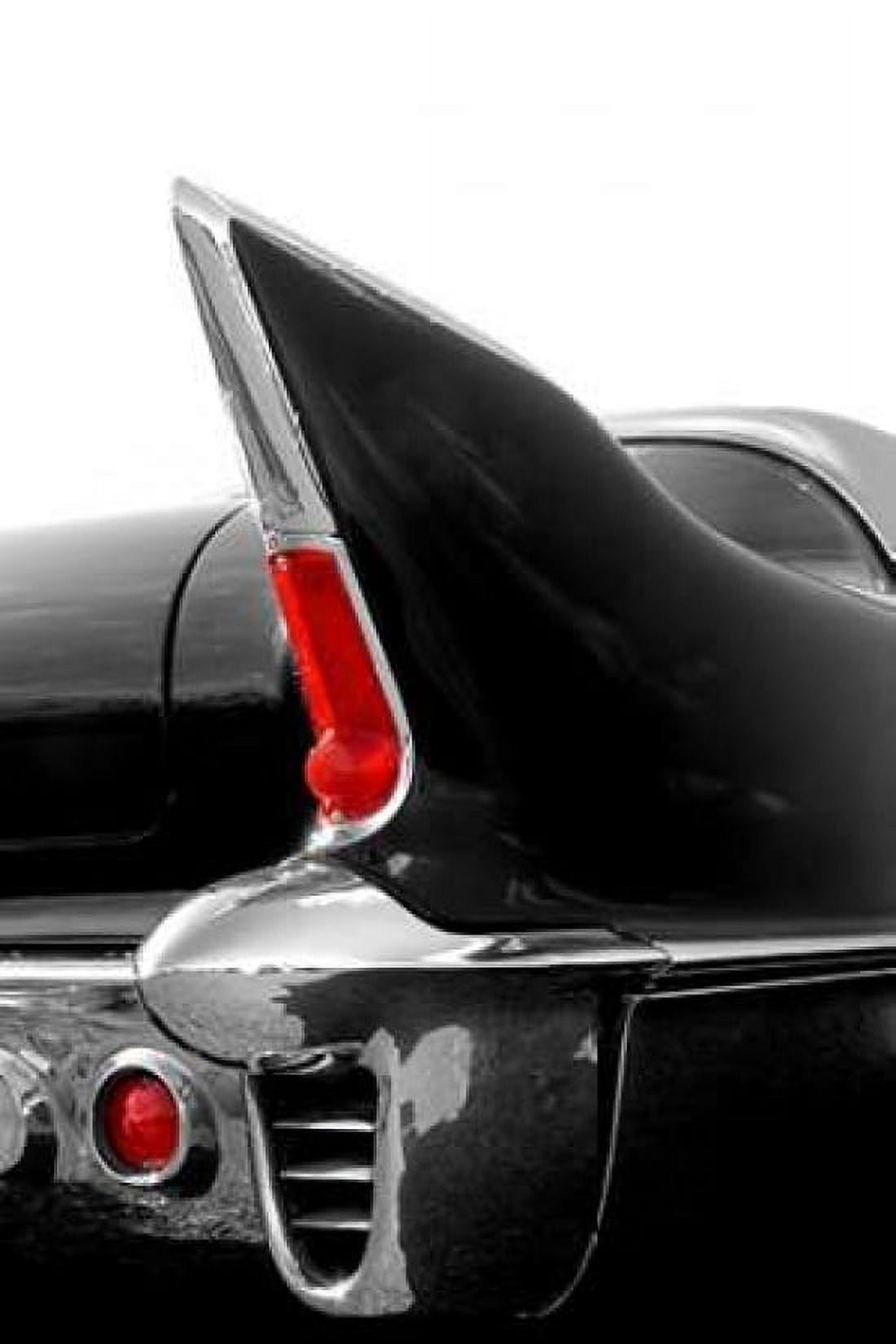 Black Tailfin Canvas Art - Matt McCarthy (12 x 18)