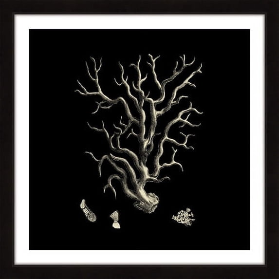 "Black & Tan Coral I" Framed Painting Print