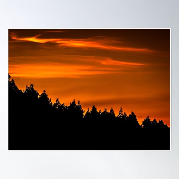Black Trees In Front Of An Orange Sky At Sunset Poster Wall Art, Modern Wall Decor, 8x12 UNFRAMED