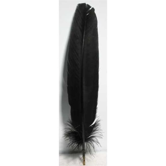 Black Turkey Feathers - 12 in. - Set of 10 - Ideal for Smudging and Crafting
