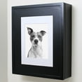 thumbnail image 1 of Black Wall-Mount Picture Perfect Medicine Cabinet by Fox Hollow Furnishings - 19 7/8" H x 16 7/8" W x 5 1/8" D, 1 of 2