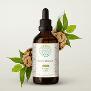 HerbEra Black Walnut Tincture, Herbal Dietary Supplement for Intestinal Health Support, Black Walnut Juglans nigra Dried Hull Extract, Natural, Alcohol-Free, Drops 4 oz