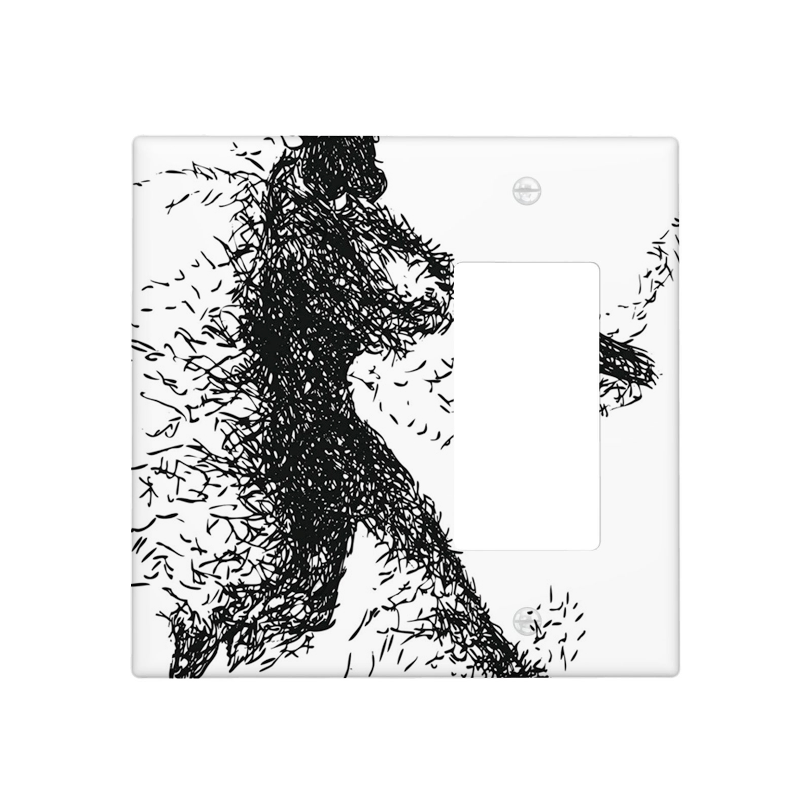 Black and White 2 Gang Wall Plate 1 Blank 1 Rocker Switch Plate