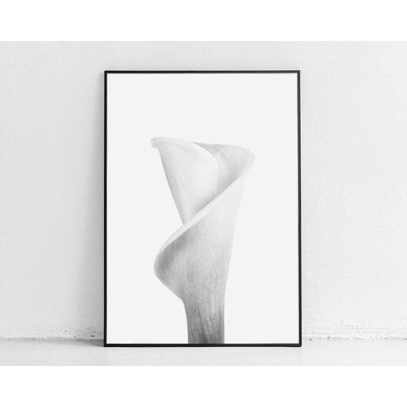 Black And White Calla Lily Wall Art, Minimalist Wall Art, Flower Photography, Arum Lily Print, Grey Flower Wall Art Home Decor #15, Unframed Canvas Size 8x12