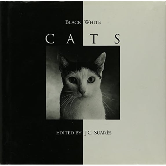 Pre-Owned Black and White Cats (Hardcover) 0002550563 9780002550567