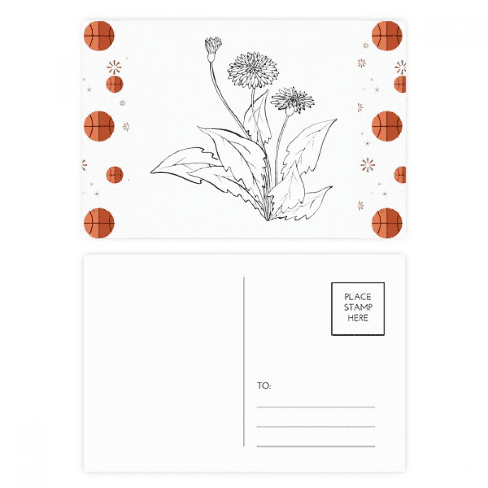 Black White Dandelion Flowers  Basketball Postcard Set Thanks Card Mailing Side 20pcs