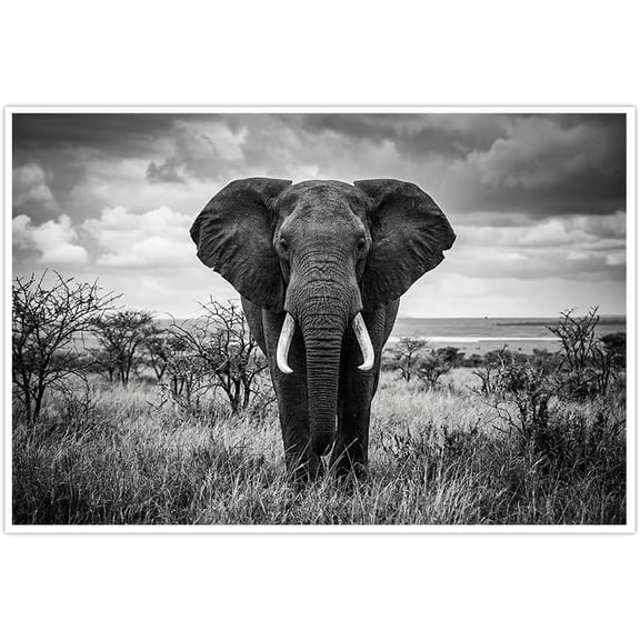 Black and White Elephant Canvas Wall Art Majestic African Wildlife Animal Print Nature Photography Large Wall Decor Pictures for Living Room Bedroom Home