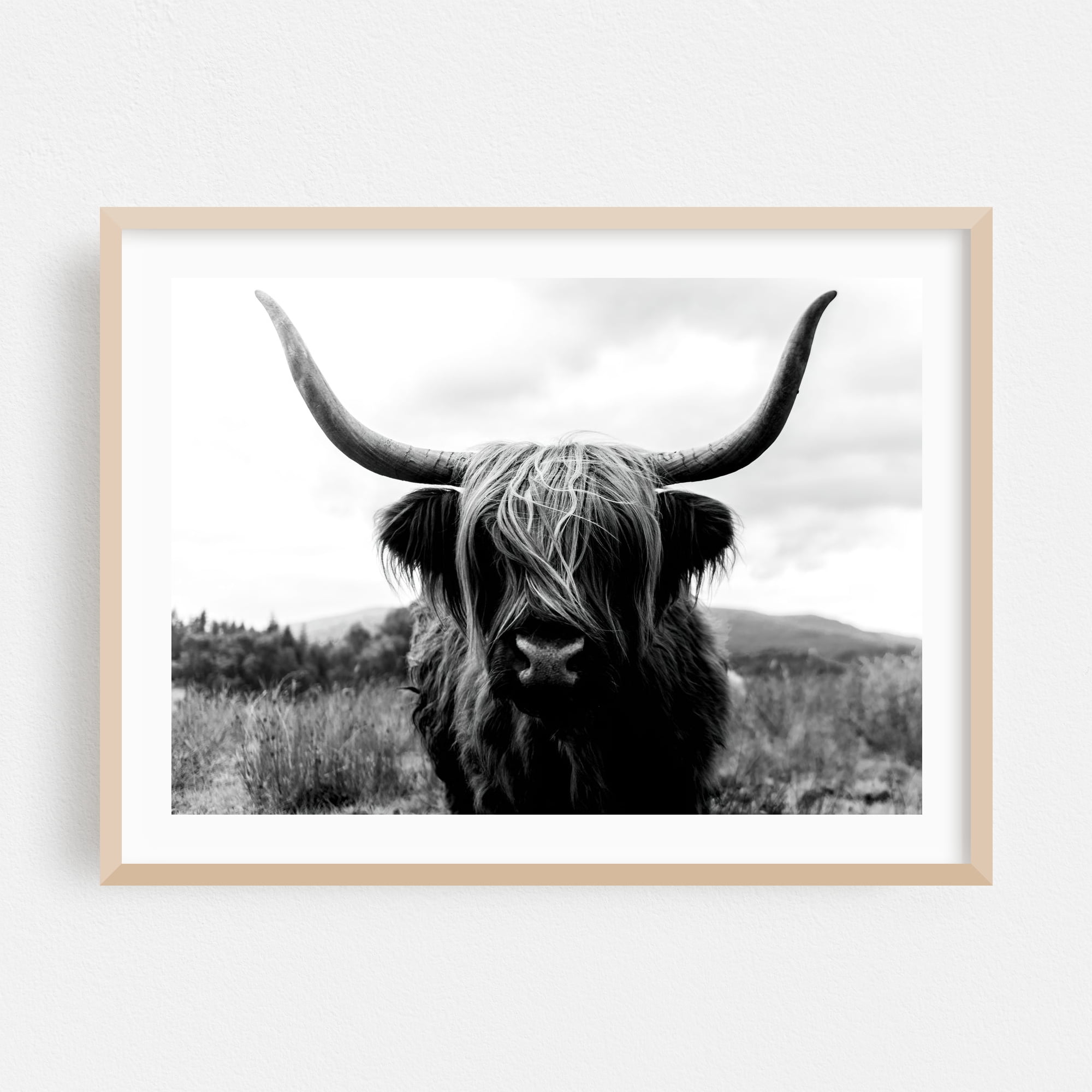 Black And White Highland Majesty - Scotland United Kingdom Photography ...