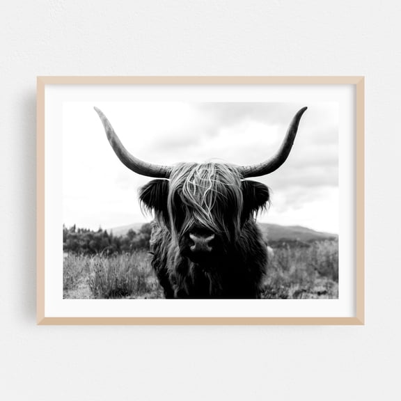 Black And White Highland Majesty - Scotland United Kingdom Photography Highland Cow Black and White Animal Nature Rustic Wildlife Rural Oak Framed Wall Art Print 24 x 36 inches