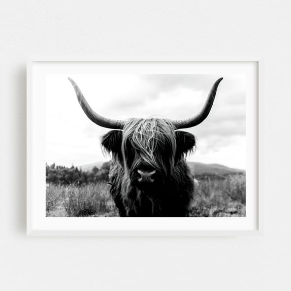 Black And White Highland Majesty - Scotland United Kingdom Photography Highland Cow Black and White Animal Nature Rustic Wildlife Rural White Framed Wall Art Print 20 x 30 inches