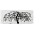 thumbnail image 1 of Black and White Kitchen Mat, Monochrome Barren Tree Design Leafless Branches Autumn Themed Nature Image, Plush Decorative Kitchen Mat with Non Slip Backing, 47" X 19", Black White, by Ambesonne, 1 of 1