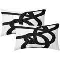thumbnail image 1 of Black and White Lumbar Pillow Covers 12X20 Inch Modern Abstract Graffiti Art Line Decorative Pillow Cases with Zipper Set of 2 Boho Home Decor for Sofa Couch Living Room Bedroom, 1 of 3