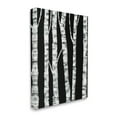 thumbnail image 1 of Stupell Industries Black White Modern Birch Trees Dark Forest,30 x 40,Designed by Ruth Fromstein, 1 of 5