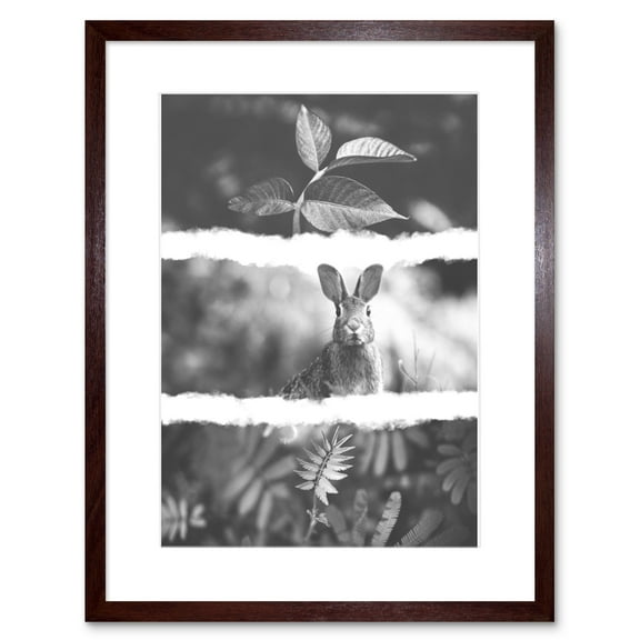 Black White Photography Triptych Rabbit Hare Framed Wall Art Print