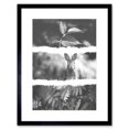 thumbnail image 1 of Black White Photography Triptych Rabbit Hare Framed Wall Art Print, 1 of 5