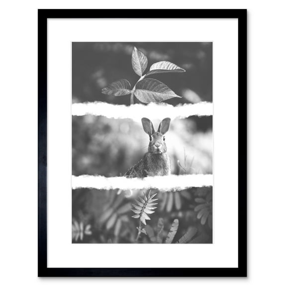 Black White Photography Triptych Rabbit Hare Framed Wall Art Print