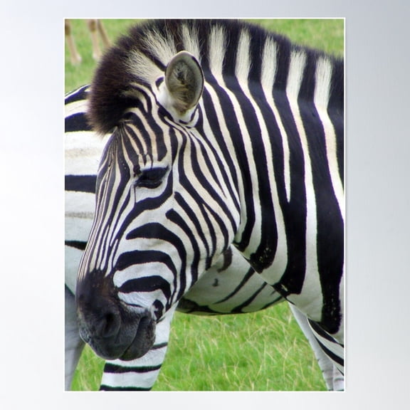 Black & White Poster Wall Art, Modern Wall Decor For Living Room Bedroom, 24x36 UNFRAMED