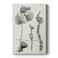 thumbnail image 1 of Black & White Protea on Linen II Premium Gallery Wrapped Canvas - Ready to Hang, 1 of 9