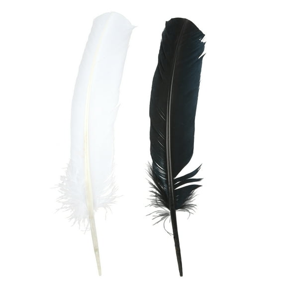 Black & White Quill Feather Mix by Creatology 20pc