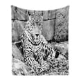 thumbnail image 1 of Black and White Soft Flannel Fleece Blanket, Jaguar Wild Big Cats Theme Feline with Dots Body Fur Jungle Tiger Leopard, Cozy Plush for Indoor and Outdoor Use, 60" x 80", Black White, by Ambesonne, 1 of 6
