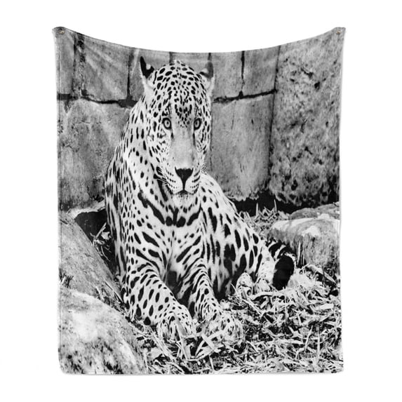 Black and White Soft Flannel Fleece Blanket, Jaguar Wild Big Cats Theme Feline with Dots Body Fur Jungle Tiger Leopard, Cozy Plush for Indoor and Outdoor Use, 70" x 90", Black White, by Ambesonne