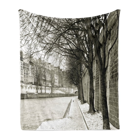 Black and White Soft Flannel Fleece Throw Blanket, Seine River Paris City France Snowy Winter in the Urban City Trees, Cozy Plush for Indoor and Outdoor Use, 50" x 60", Black White Grey, by Ambesonne