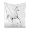 thumbnail image 1 of Black and White Soft Flannel Fleece Throw Blanket, White Stallion Running Horse Galloping Motion Speed Print, Cozy Plush for Indoor and Outdoor Use, 50" x 70", White and Black, by Ambesonne, 1 of 6