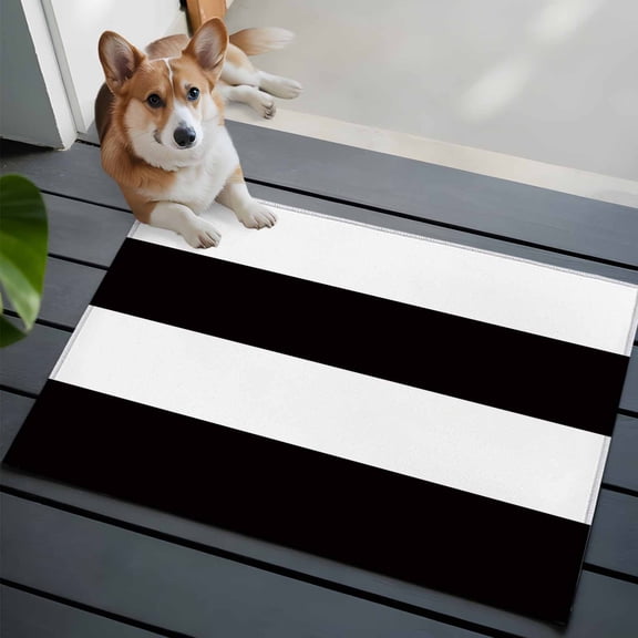 Black and White Stripe Pattern Entryway Area Rug 2x3 Simple Style Low-Profile Area Rugs with Non Slip Backing Indoor Door Mat for Entrance Living Room Bedroom Home Office