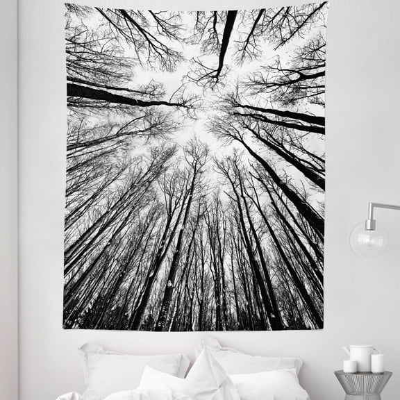 Black and White Tapestry, Tilt Shot Tall Trees with Dried and Leafless Branches Nature Outdoorsy, Fabric Wall Hanging Decor for Bedroom Living Room Dorm, 5 Sizes, Charcoal Grey, by Ambesonne
