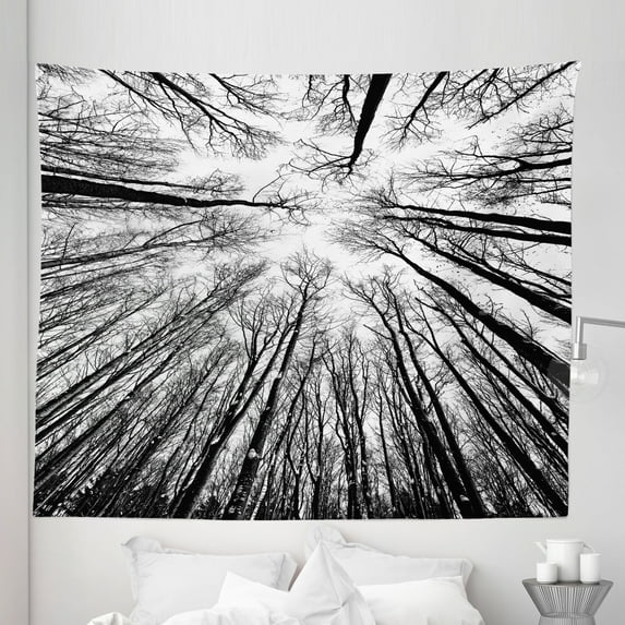 Black and White Tapestry, Tilt Shot Tall Trees with Dried and Leafless Branches Nature Outdoorsy, Fabric Wall Hanging Decor for Bedroom Living Room Dorm, 5 Sizes, Charcoal Grey, by Ambesonne