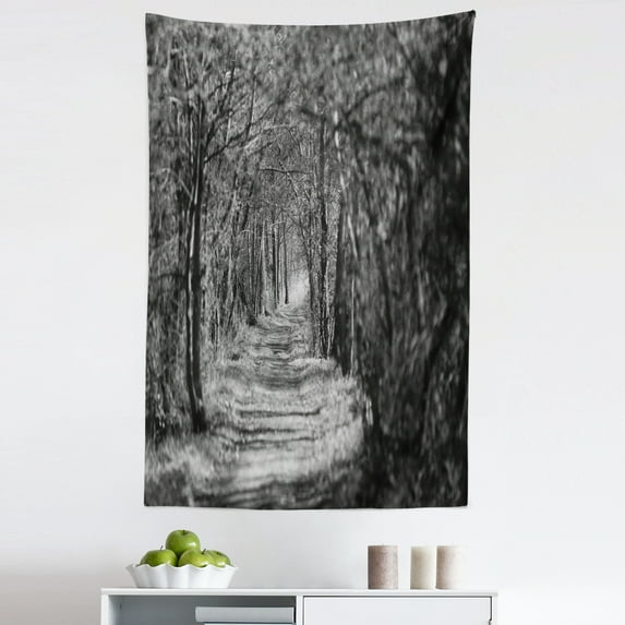 Black and White Tapestry, Woodland Path Scenery in Drongen Belgium with Blurry Effect Monochrome Photo, Fabric Wall Hanging Decor for Bedroom Living Room Dorm, 5 Sizes, Dark Grey, by Ambesonne