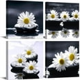 Black and White Wall Art Zen Décor Canvas Print Daisy Poster Painting
