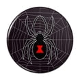 thumbnail image 1 of Black Widow Spider on Web Pinback Button Pin, 1 of 4