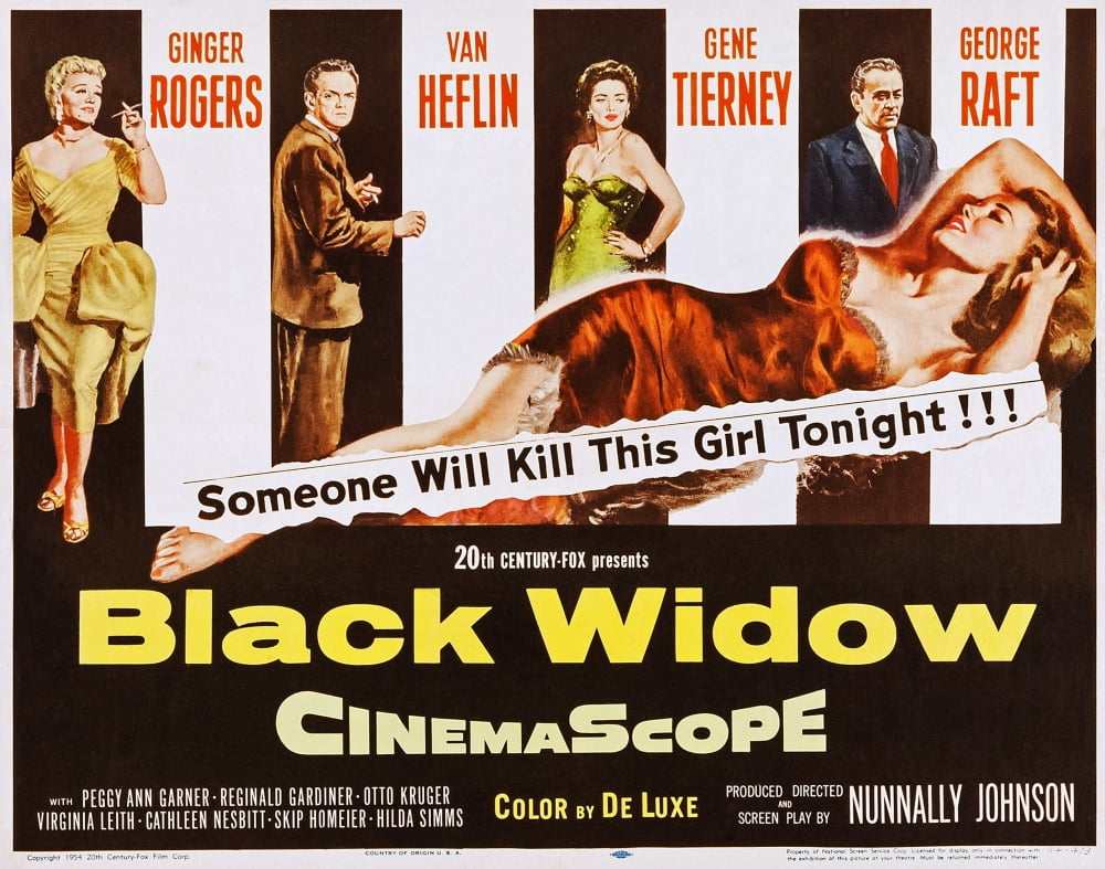 Black Widow U Canvas Art - (28 x 22)