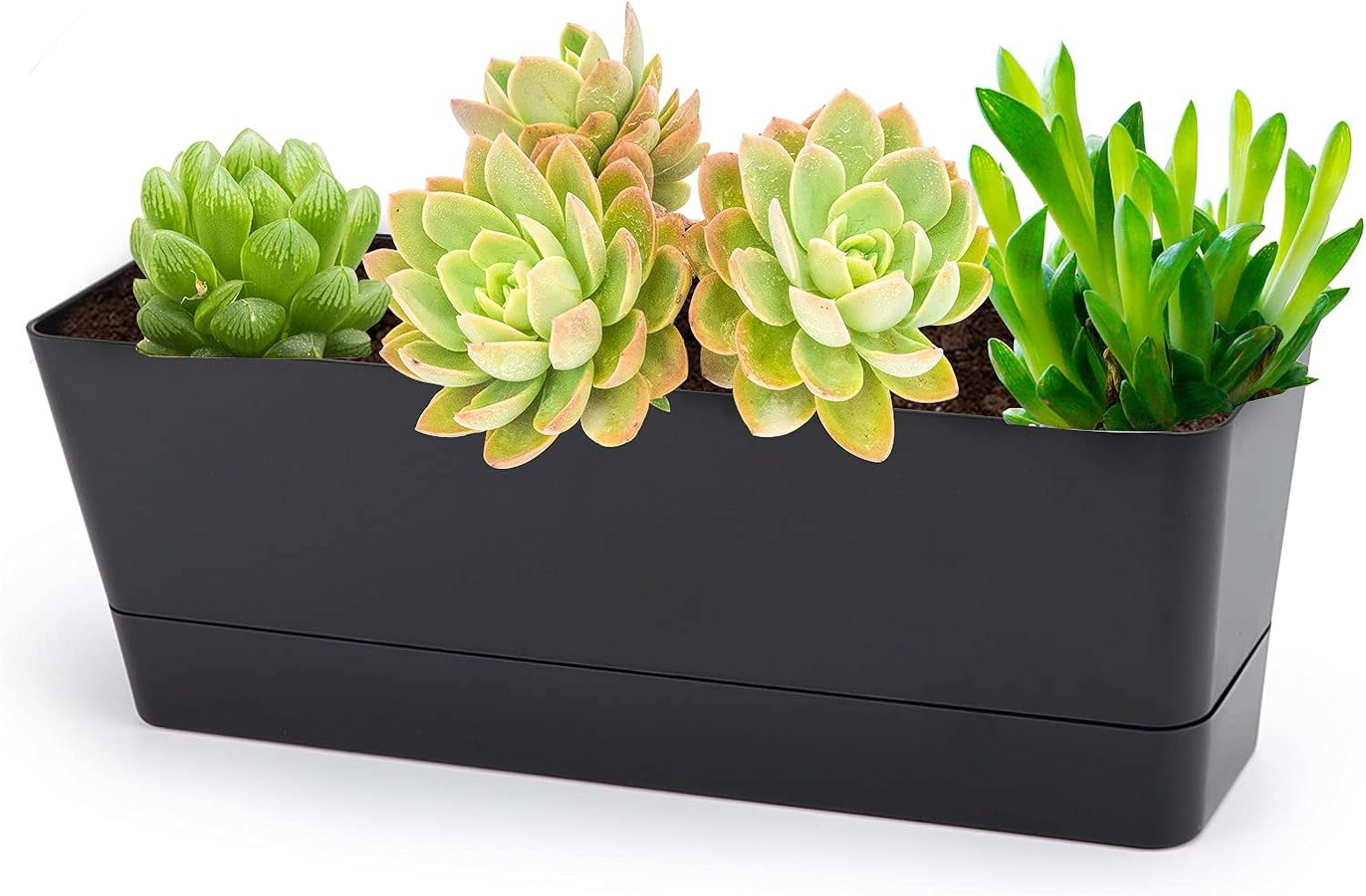 Black Window Planter Box 1 Pcs, 12 inches Plastic Window Boxes