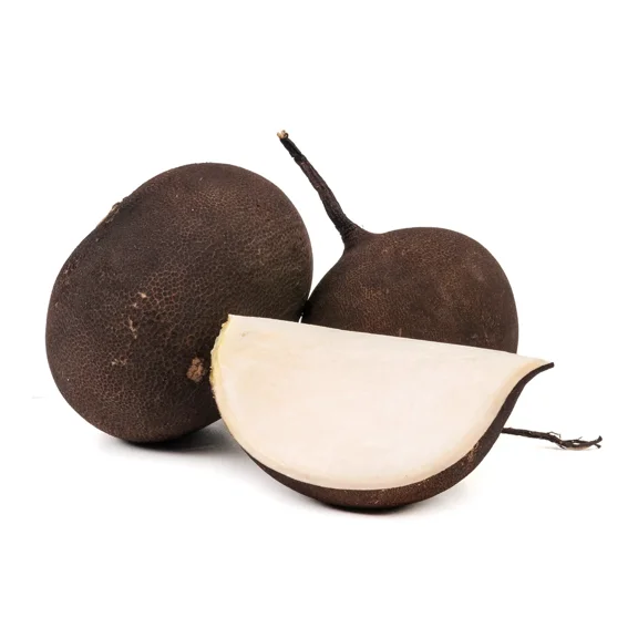 Black Winter Beer Radish Schwarzer Runder Premium Seed Packet