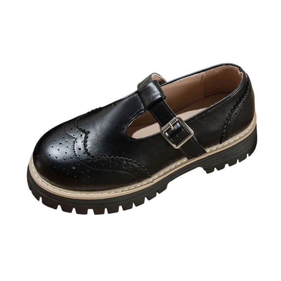 Black Women'S Mary Jane Shoes Chunky Heel Round Toe Platform Spring Summer Casual Comfortable Trendy Design