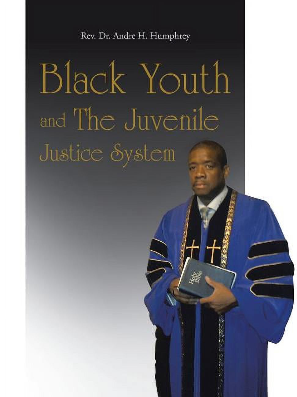 Black Youth and the Juvenile Justice System (Paperback) - Walmart.com