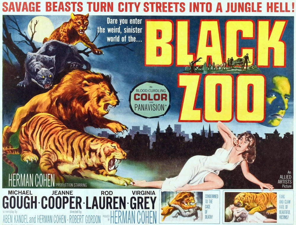 Black Zoo Canvas Art - (28 x 22)