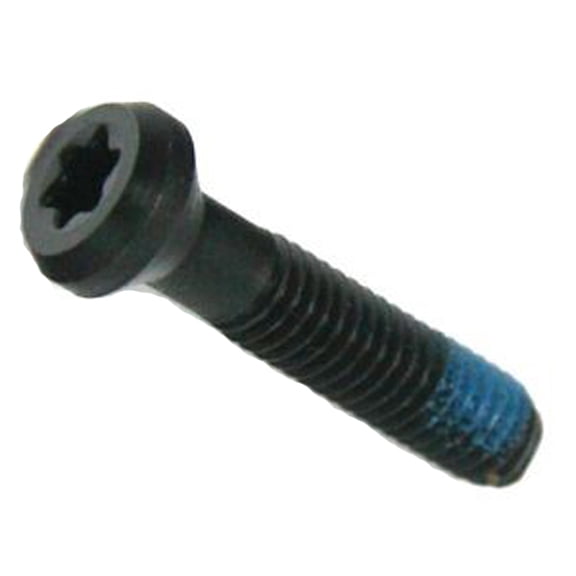 Black and Decker/DeWalt Reverse Thread Oval Head Torx Screw - 149518-01