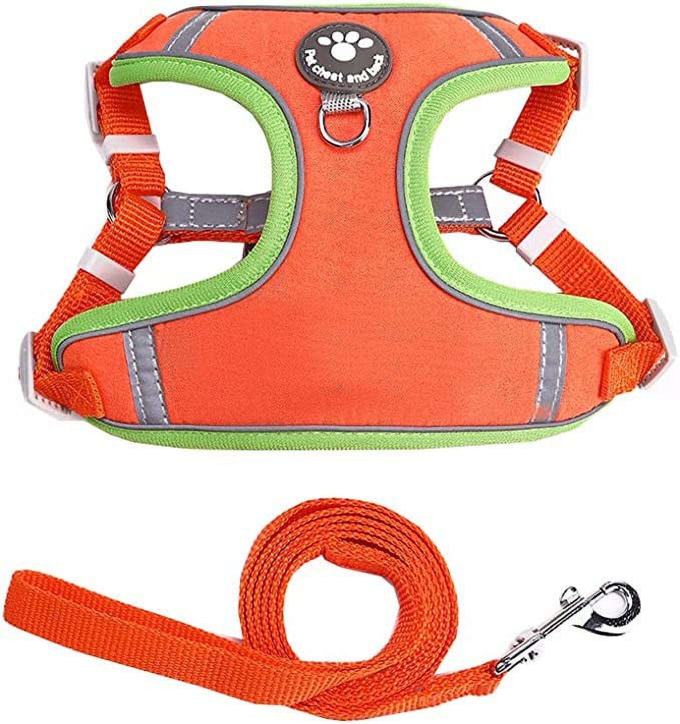 Black and Friday Deals Blueek Suede with Reflective Strip Pet Chest