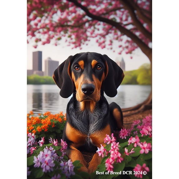 Black and Tan Coonhound - Best of Breed DCR Spring House Flag