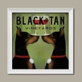 thumbnail image 1 of Black and Tan Vineyards - Double Doberman Pinschers Wine by Ryan Fowler; One 12x12 White Framed Print, 1 of 1