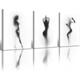 thumbnail image 1 of Black and White Abstract Figure Art - 3-Panel Framed Canvas Set, Artistic Silhouettes Wall Decor for Bathroom, Bedroom, Living Room Unframed, 1 of 6