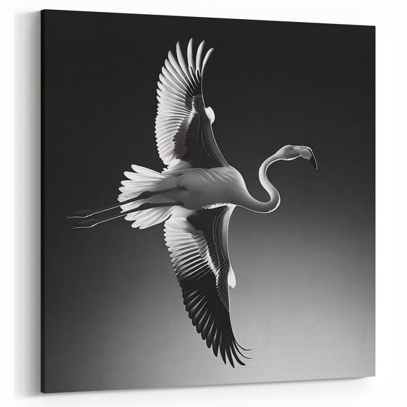 Black and White Bird Flight Print - Dramatic Wing Detail Nature Wall Art