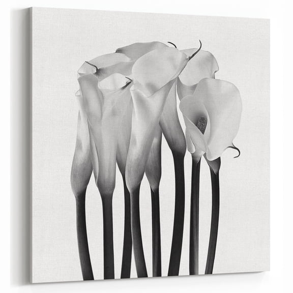 Black and White Calla Lily Photography Print — Fine Art Wall Canvas