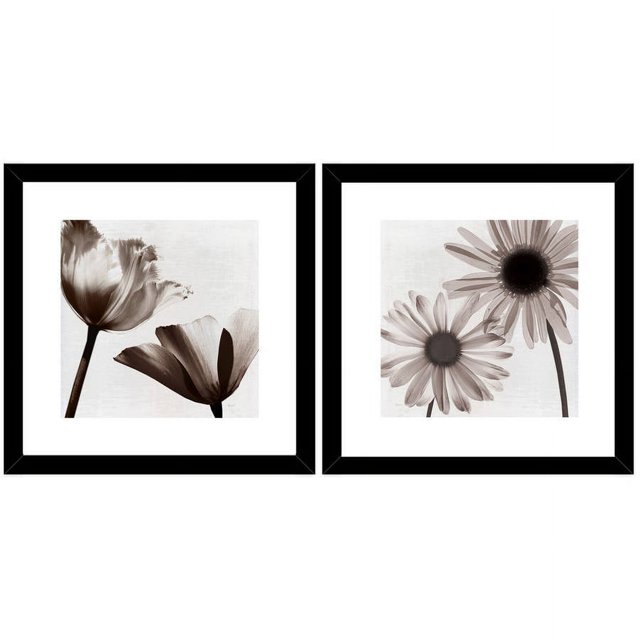 Black and White Daisy Wall Art, 16" x 16", Set of 2