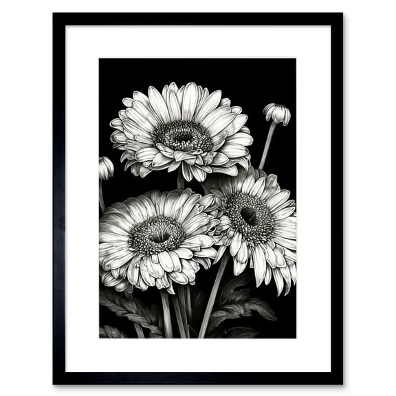 Black and White Gerbera Flowers Dark Illustration Artwork Framed Wall Art Print 9X7 Inch