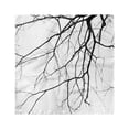 thumbnail image 1 of Black and White Head Scarf, Leafless Tree, Head Wrap, 3 Sizes, by Ambesonne, 1 of 2